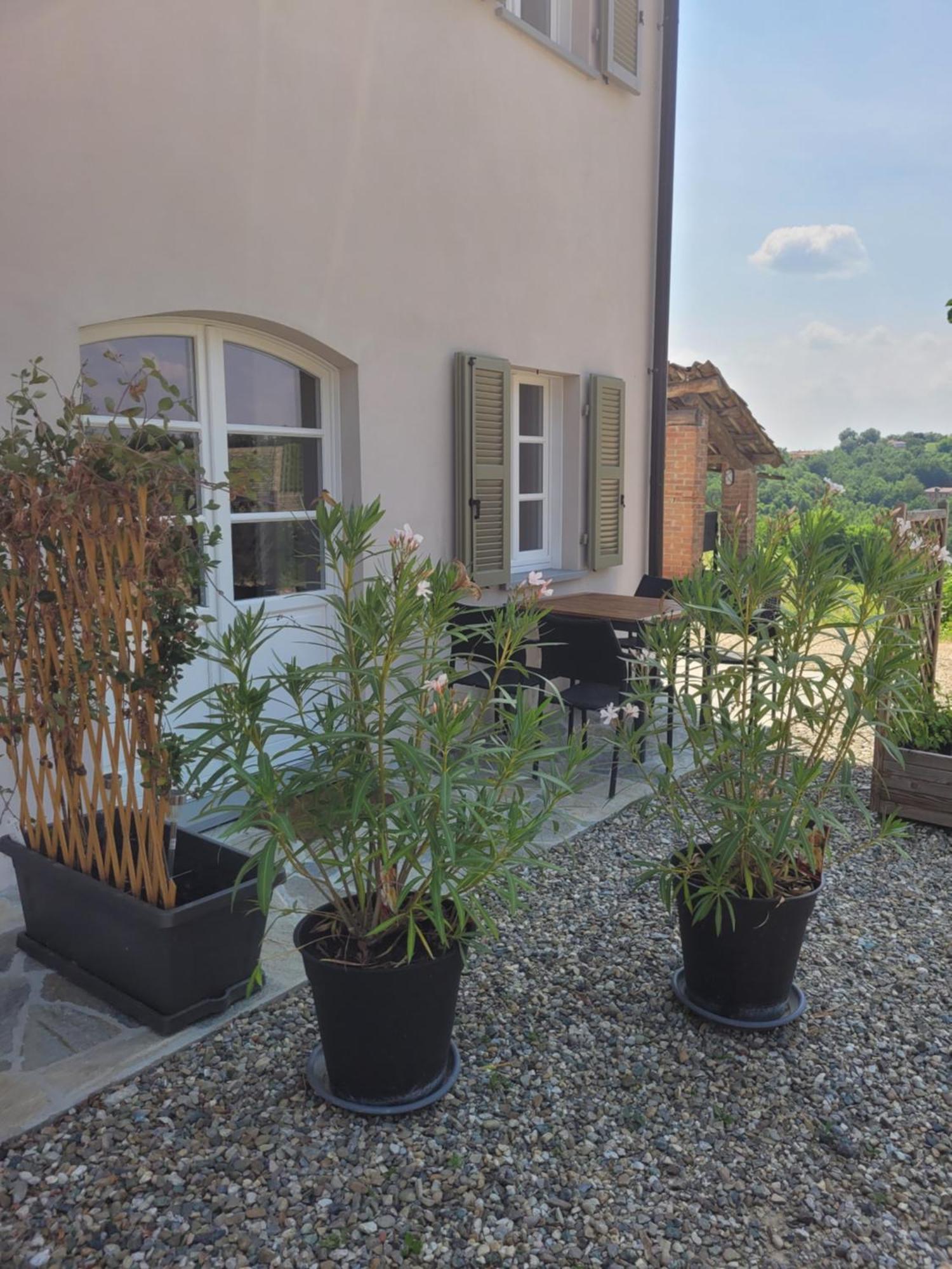 Cascina Allegria Castelnuovo  Екстериор снимка