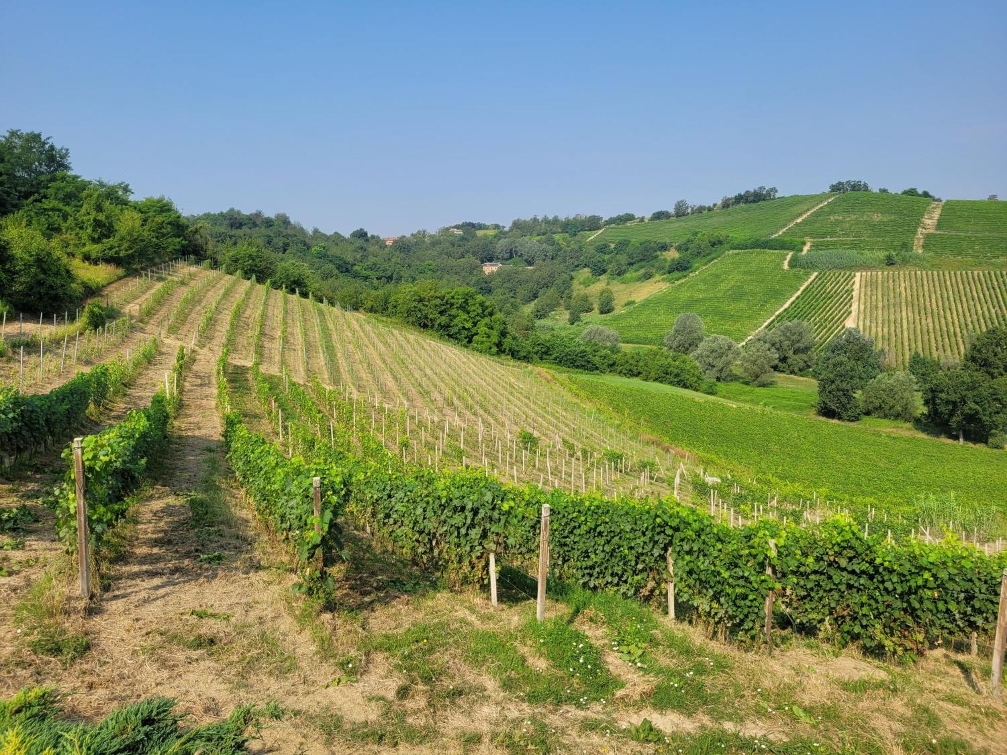 Cascina Allegria Castelnuovo  Екстериор снимка